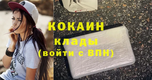 тгк Алексин