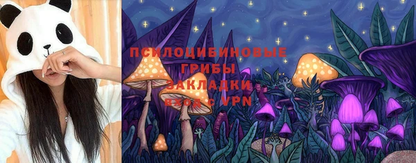 PSILOCYBIN Алексеевка