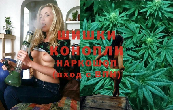 гидропоника Алзамай