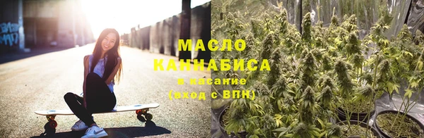 гидропоника Алзамай