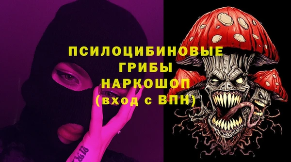 PSILOCYBIN Алексеевка