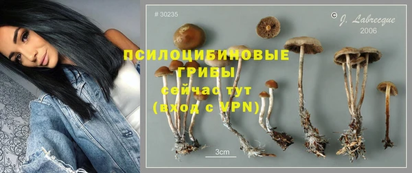 гидропоника Алзамай
